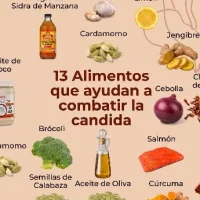 alimentos